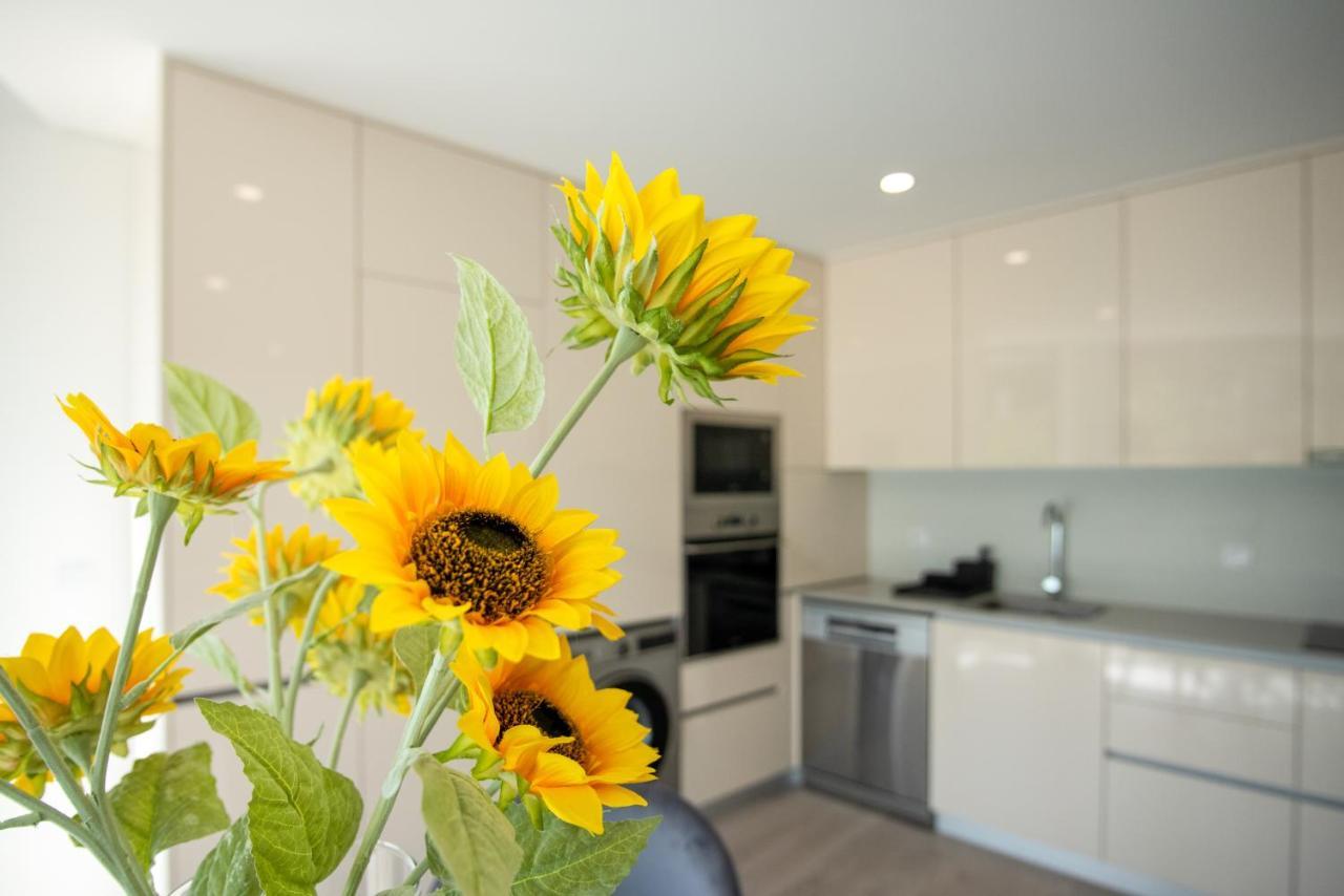 Apartment T2 Freedom *